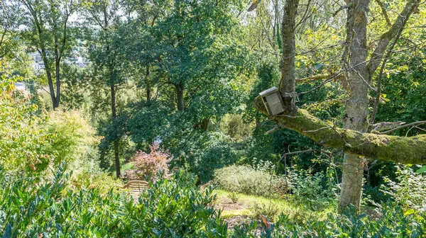 1770285766-21) wilde tuin (8)